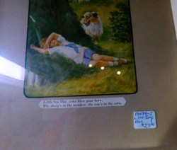 PICTURE LITTLE BOY BLUE C